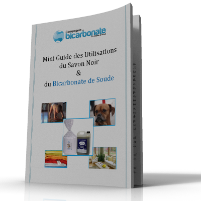 télécharger le mini guide