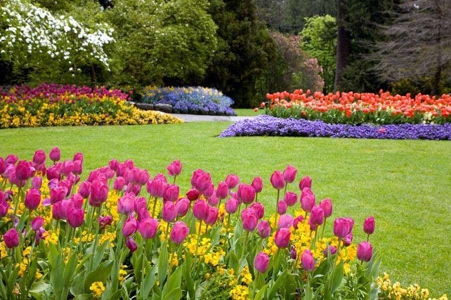 Jardin, animaux & bricolage Jardin, animaux & bricolage