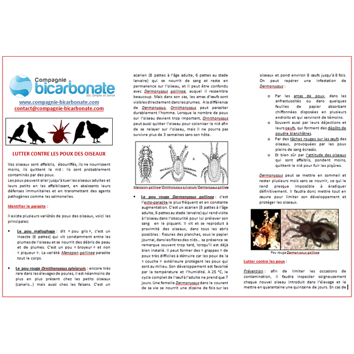 Notice gratuite Bi-poux