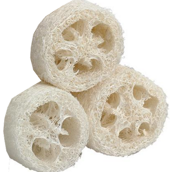 Tranches de loofah - loofa - luffa