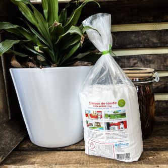 Sachet de cristaux de soude 1kg