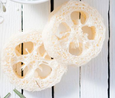 Loofah en tranche